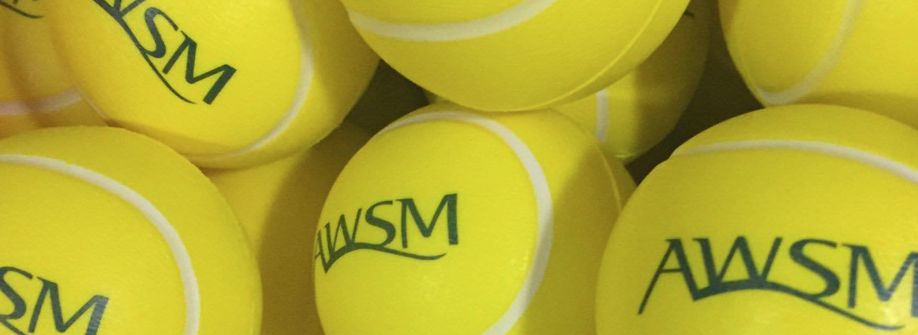 Association for Women in Sports Media