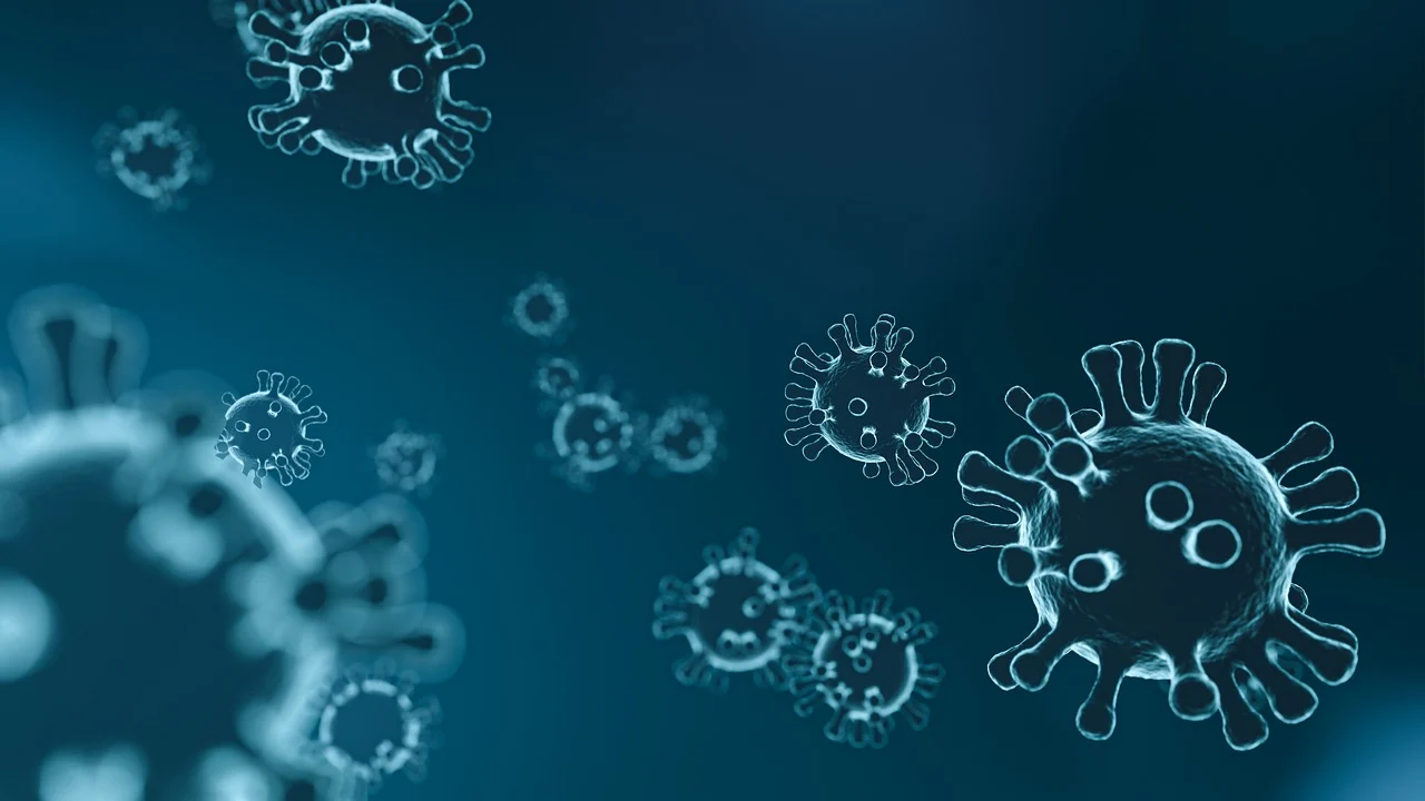 Global Infectious Diseases Association