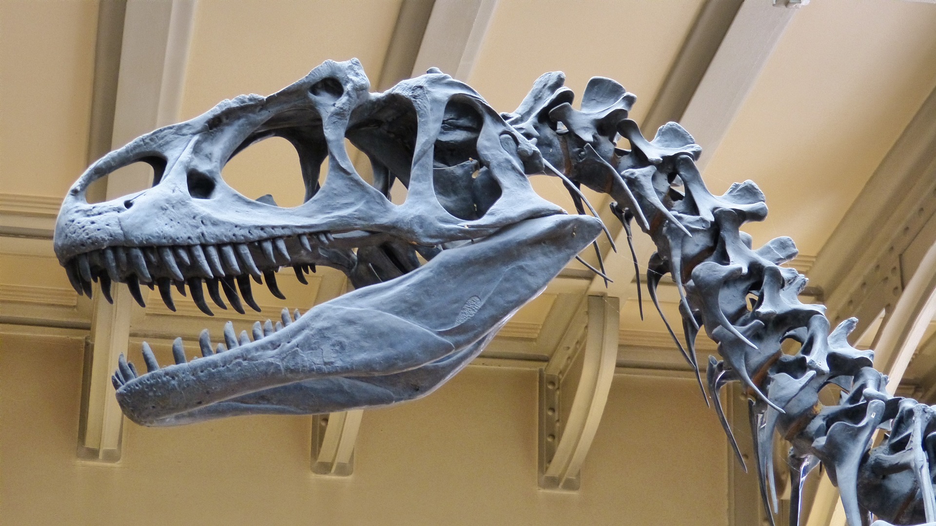 Paleontology Club at UVA