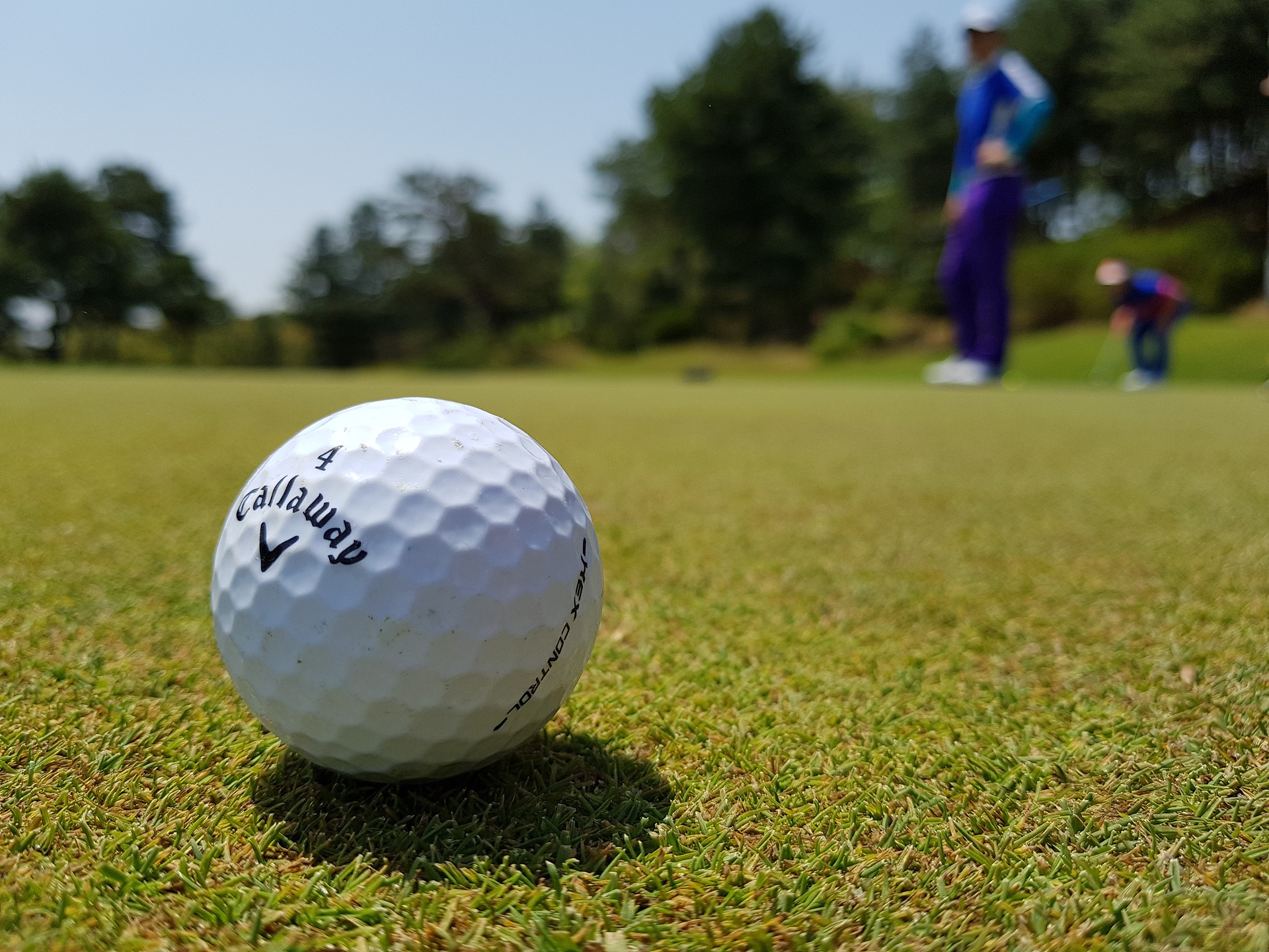 Virginia Law Golf Society