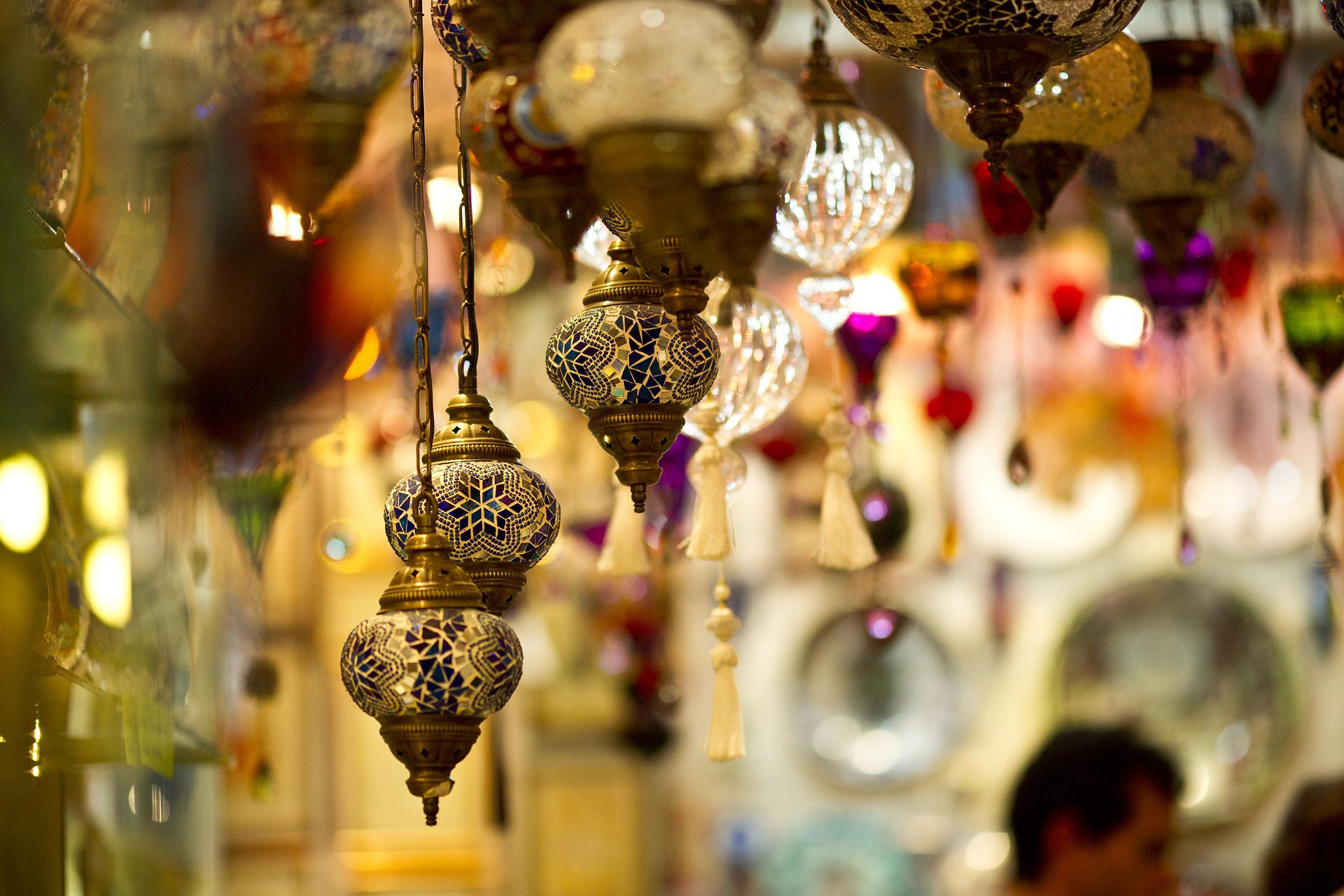 Middle Eastern and North African Law Student Association 